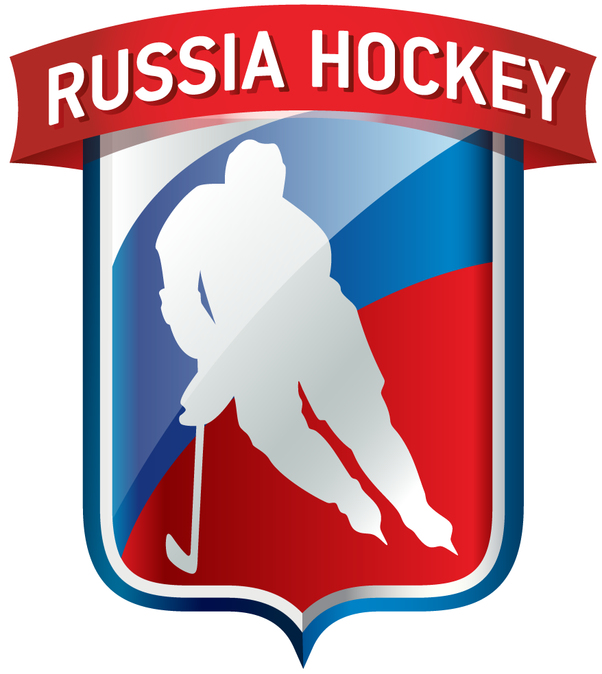 Russia 2016-Pres Partial Logo iron on heat transfer